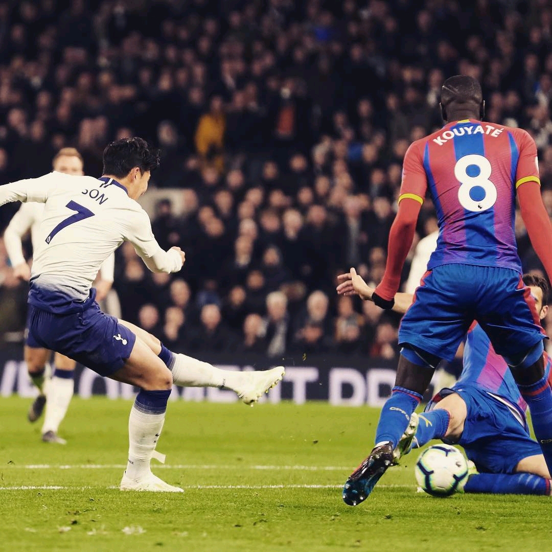 与观赏性 与观赏性