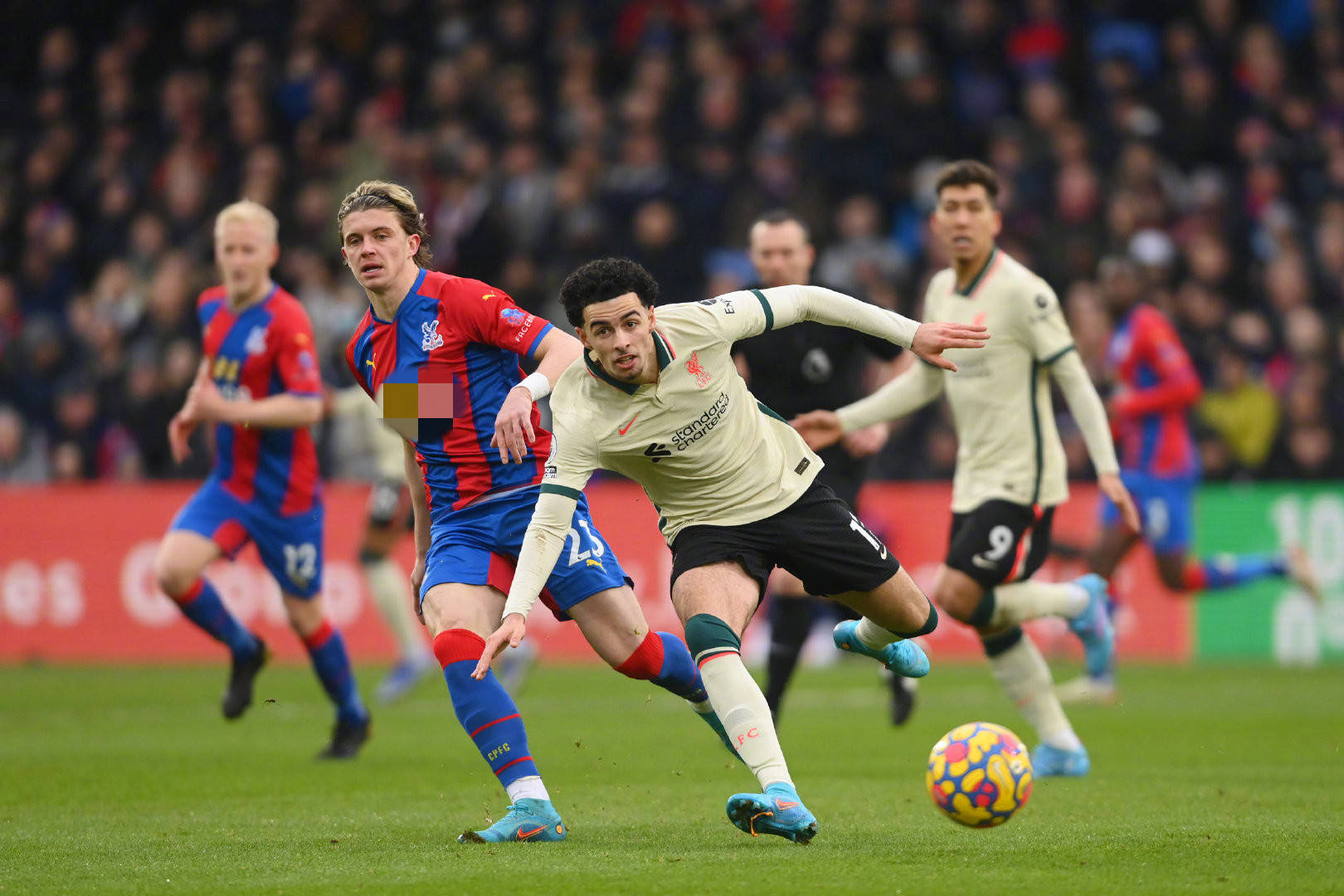 成功加盟利 成功加盟利